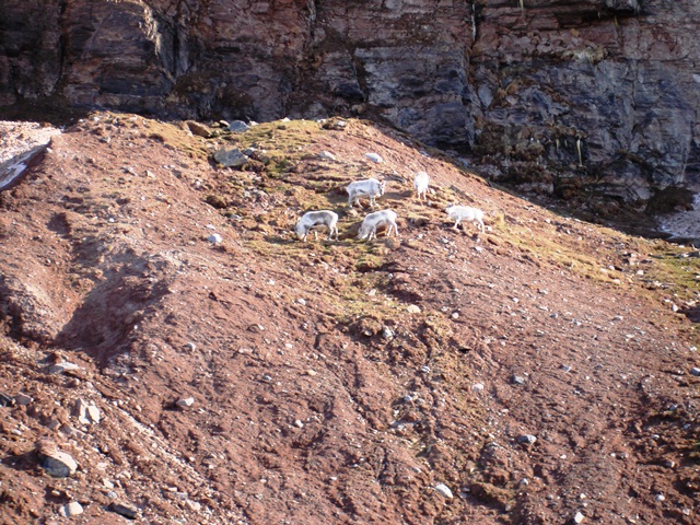 Svalbard Norway Photo 2